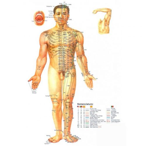 triptico-guia-practica-anatomofisiologica-de-la-medicina-tradicional-china-1